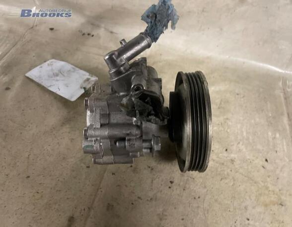 Power steering pump FIAT FIORINO Box Body/MPV (225_), FIAT QUBO (225_), FIAT DOBLO Box Body/MPV (223_)