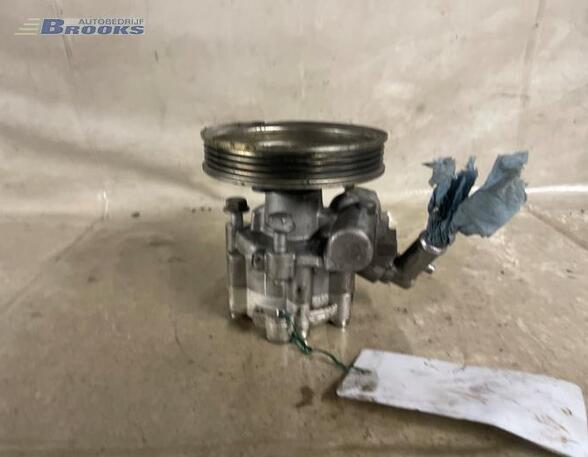 Power steering pump FIAT FIORINO Box Body/MPV (225_), FIAT QUBO (225_), FIAT DOBLO Box Body/MPV (223_)