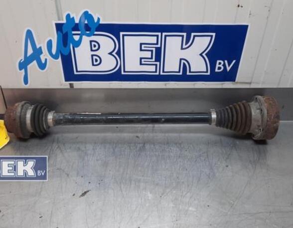 Drive Shaft VW Tiguan (5N)