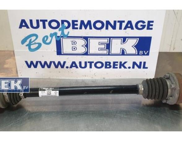 Drive Shaft VW GOLF VII (5G1, BQ1, BE1, BE2)