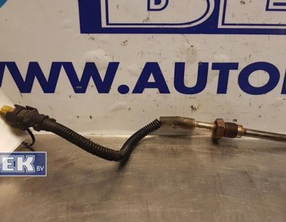 Temperature Sensor MERCEDES-BENZ E-Klasse (W212)