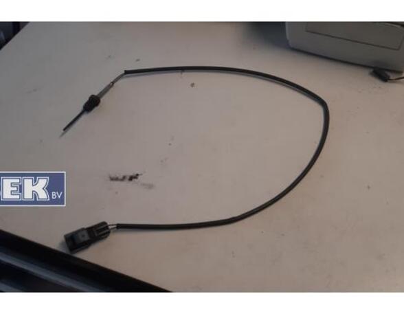 Exhaust gas temperature sensor  JAGUAR S-Type (X200)