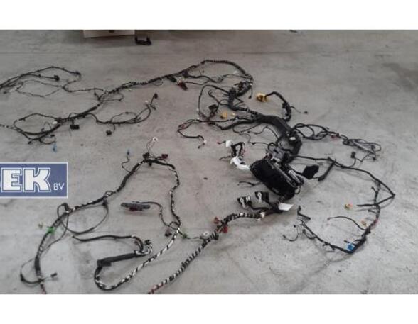 Wiring Harness VW T-ROC (A11)