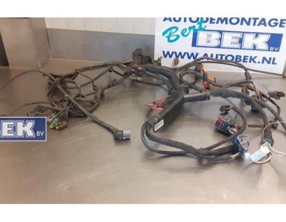 Wiring Harness RENAULT Modus/Grand Modus (F/JP0)