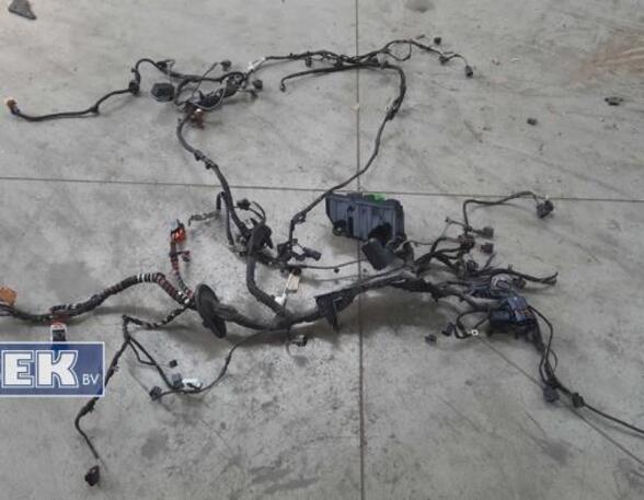 Wiring Harness VW Passat Variant (3G5, CB5)