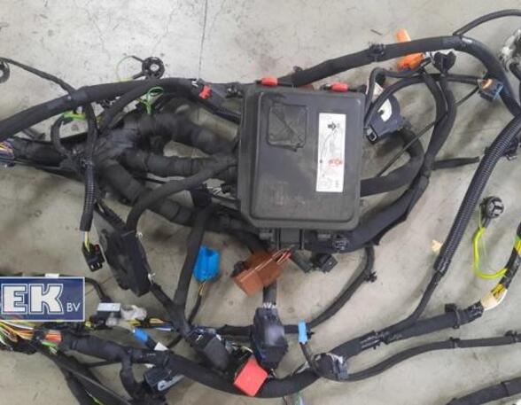 Wiring Harness OPEL CORSA F (P2JO)