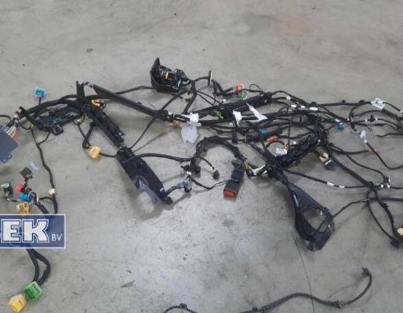 Wiring Harness OPEL CORSA F (P2JO)