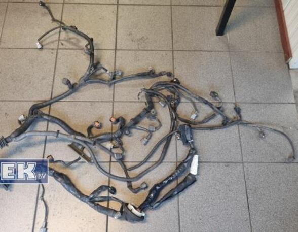 Wiring Harness INFINITI FX (--), INFINITI QX70 (--)