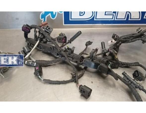 Wiring Harness VW Golf VII Variant (BA5, BV5), VW Golf Alltrack (BA5, BV5)