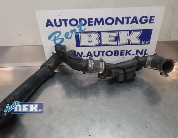 Kabelboom PEUGEOT 508 SW I (8E_)