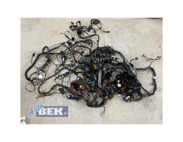 Wiring Harness VW POLO (AW1, BZ1)