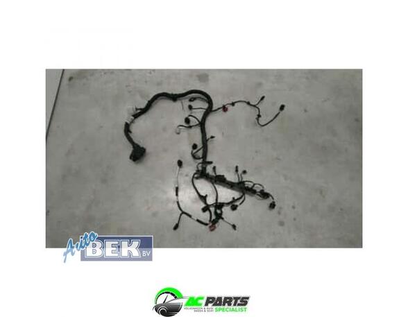 Wiring Harness VW PASSAT (3G2, CB2), VW PASSAT ALLTRACK B8 Variant (3G5, CB5)