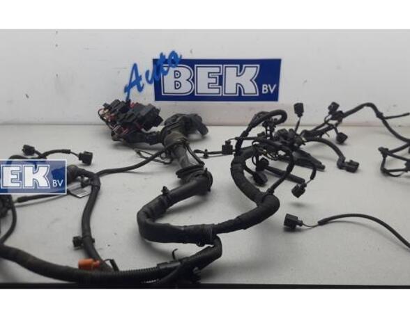 Wiring Harness AUDI A4 Avant (8K5, B8)