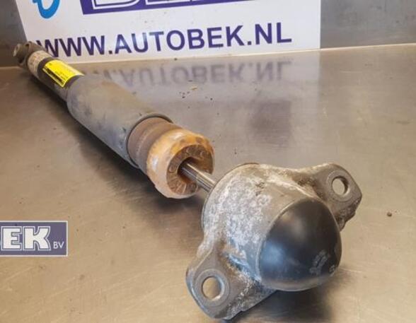 Shock Absorber AUDI A3 Sportback (8VA, 8VF)