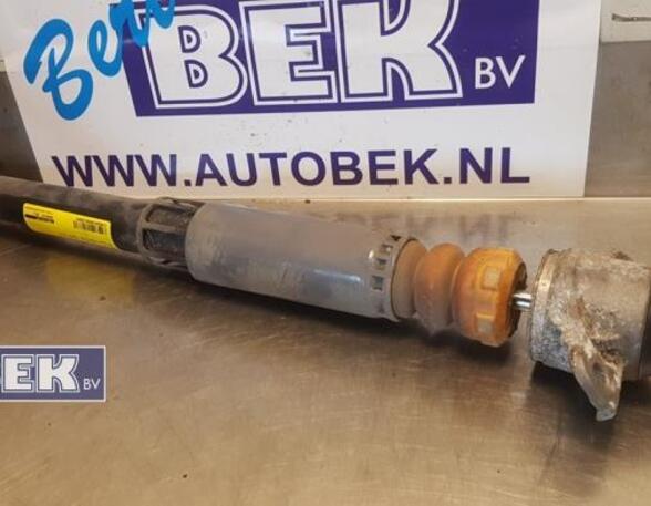 Shock Absorber AUDI A3 Sportback (8VA, 8VF)