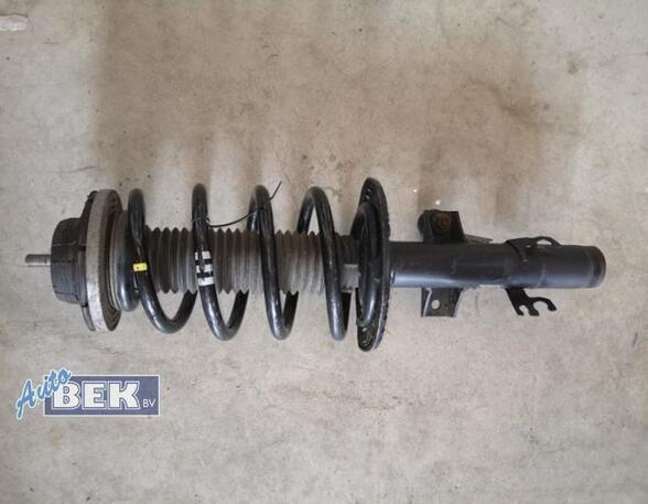 Shock Absorber VW TRANSPORTER V Bus (7HB, 7HJ, 7EB, 7EJ, 7EF, 7EG, 7HF, 7EC)