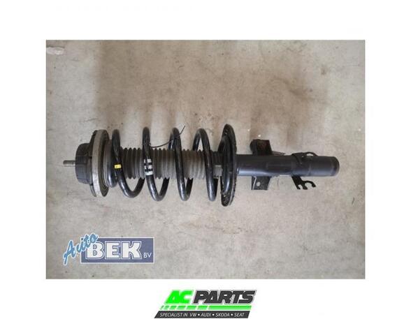 Shock Absorber VW TRANSPORTER V Bus (7HB, 7HJ, 7EB, 7EJ, 7EF, 7EG, 7HF, 7EC)