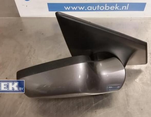 Wing (Door) Mirror RENAULT Clio III (BR0/1, CR0/1)