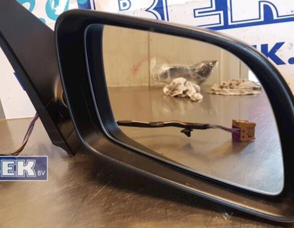 Wing (Door) Mirror VW POLO (6N2)