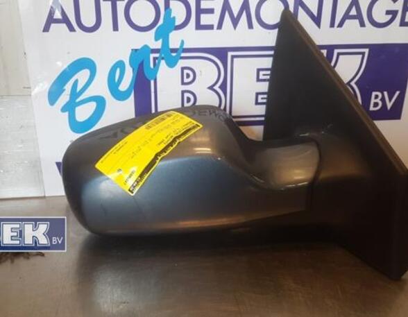 Wing (Door) Mirror RENAULT Clio III (BR0/1, CR0/1)