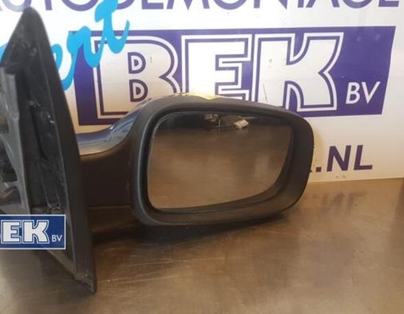 Wing (Door) Mirror RENAULT Clio III (BR0/1, CR0/1)