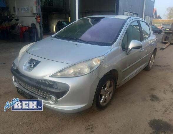 Wing (Door) Mirror PEUGEOT 207 (WA_, WC_)