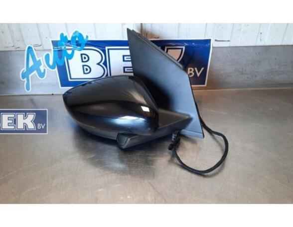 Wing (Door) Mirror VW POLO (6R1, 6C1), VW POLO Van (6R)