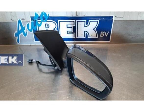 Wing (Door) Mirror VW POLO (6R1, 6C1), VW POLO Van (6R)