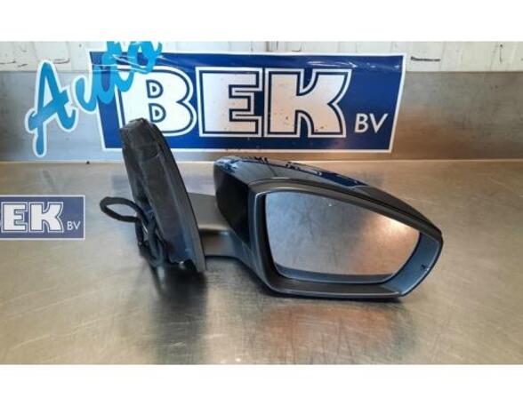 Wing (Door) Mirror VW POLO (6R1, 6C1), VW POLO Van (6R)