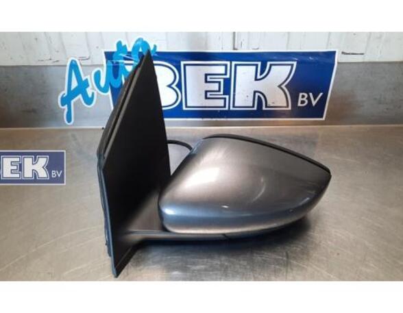 Wing (Door) Mirror VW POLO (6R1, 6C1), VW POLO Van (6R)