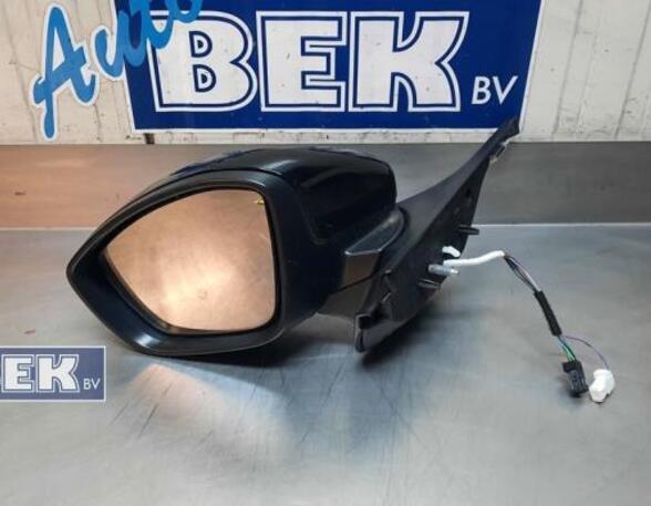 Wing (Door) Mirror CITROËN C3 II (SC_), CITROËN C3 III (SX)