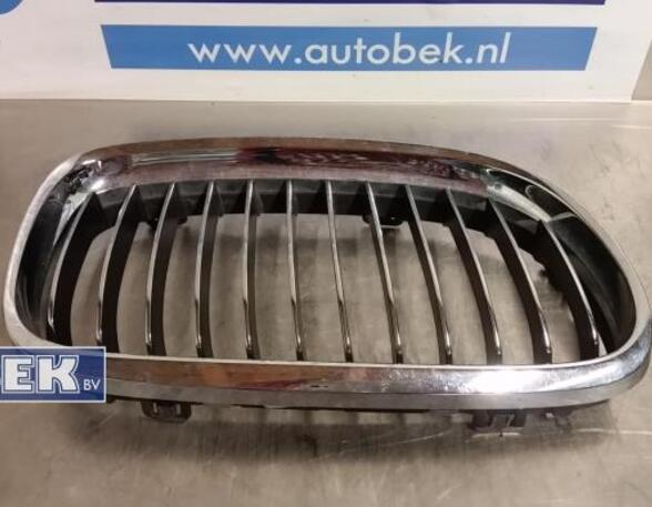 Radiator Grille BMW 3er (E90)