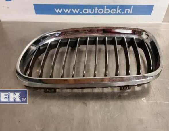 Radiator Grille BMW 3er (E90)