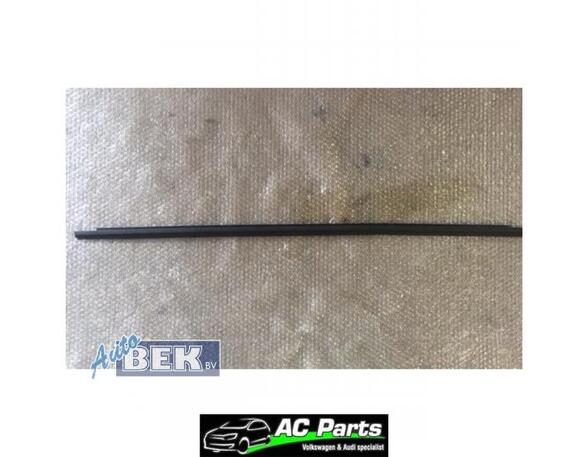 Trim Strip Bumper VW GOLF SPORTSVAN (AM1, AN1)