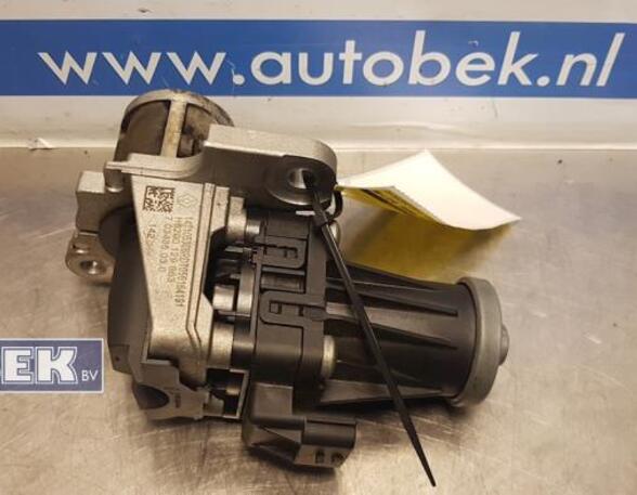 EGR Valve RENAULT Captur I (H5, J5), RENAULT Clio IV (BH)