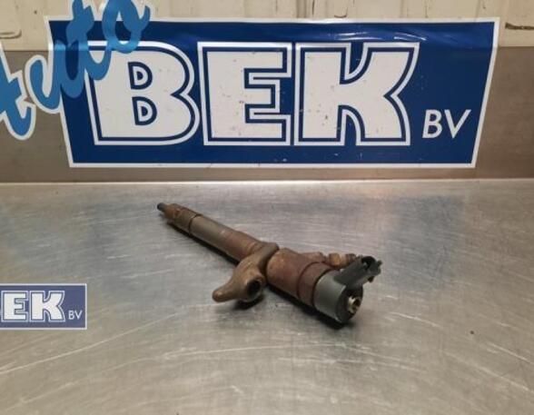 Injector Nozzle IVECO Daily IV Kasten (--)