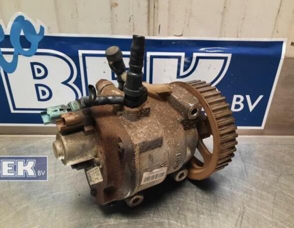 Fuel Pump RENAULT Clio III (BR0/1, CR0/1)