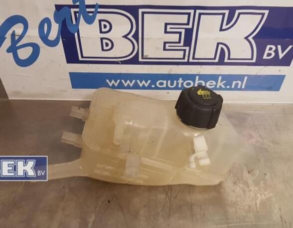 Coolant Expansion Tank RENAULT Megane III Grandtour (KZ0/1)