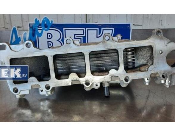 Intake Manifold AUDI A3 Sportback (8VA, 8VF)