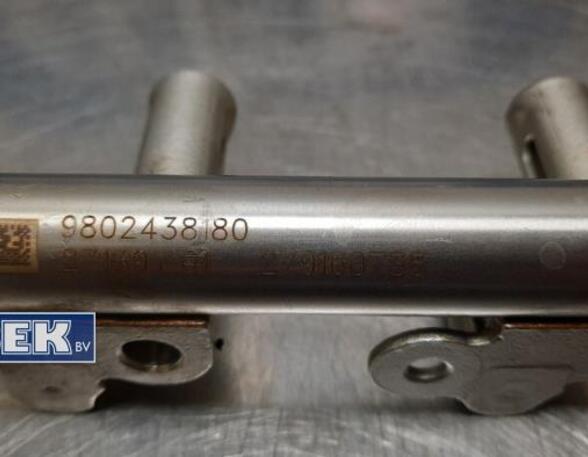 Petrol Fuel Rail PEUGEOT 2008 I (CU)