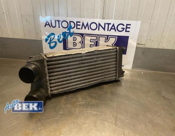 Intercooler PEUGEOT 3008 Großraumlimousine (0U_)