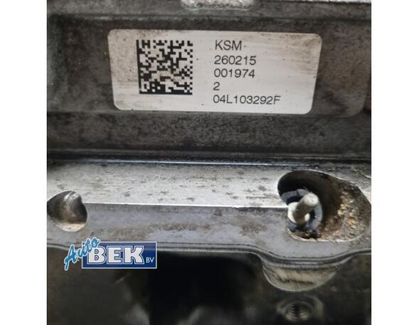 Cylinder Head VW GOLF VII (5G1, BQ1, BE1, BE2)