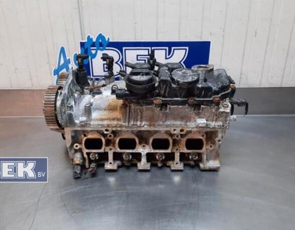 Cylinder Head VW CADDY V MPV (SBB, SBJ)