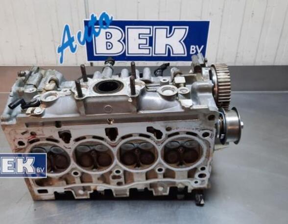 Cylinder Head VW CADDY V MPV (SBB, SBJ)