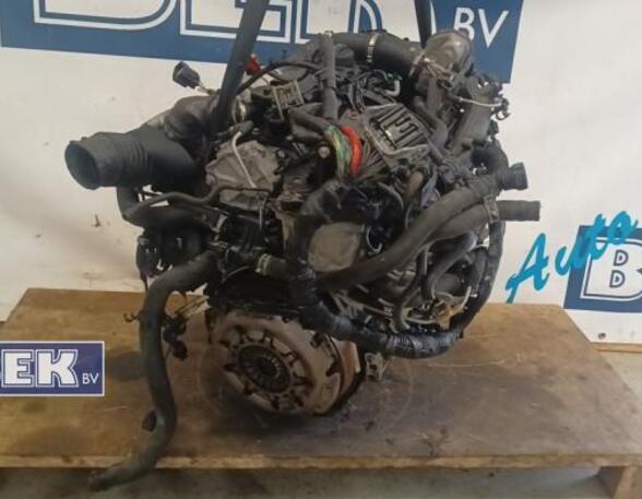 Motor kaal FORD Fiesta VI (CB1, CCN)