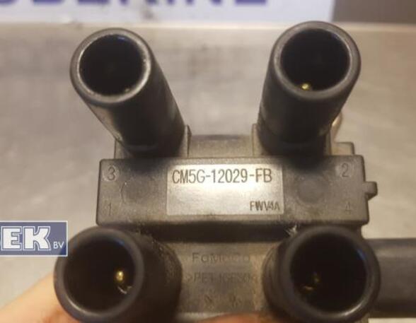 Ignition Coil FORD Fiesta VI (CB1, CCN)