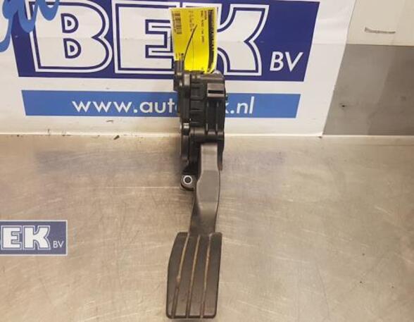 Accelerator pedal RENAULT Twingo II (CN0)