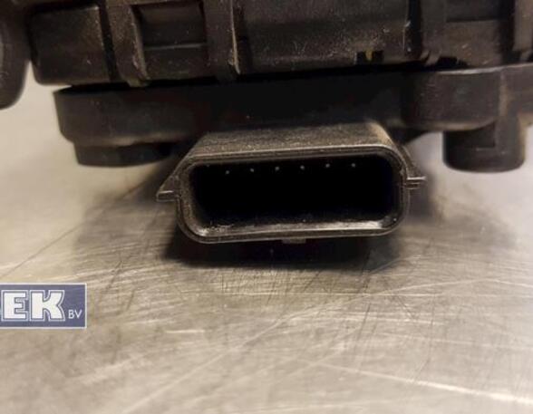 Accelerator pedal RENAULT Twingo II (CN0)