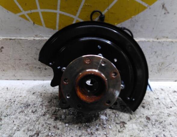 Stub Axle DACIA DUSTER (HM_)