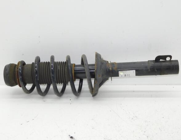 Suspension Strut VW NEW BEETLE (9C1, 1C1)